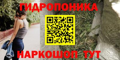 ALPHA PVP Будённовск