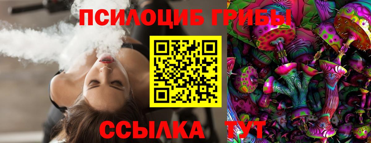 Псилоцибиновые грибы мухоморы  Псилоцибиновые грибы GOLDEN TEACHER  как найти наркотики  Саратов  Вход с VPN 